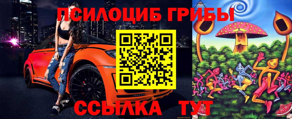 Галлюциногенные грибы мухоморы Дзержинский