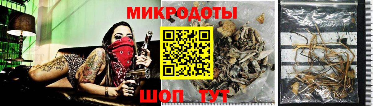 ГАШ Дзержинский