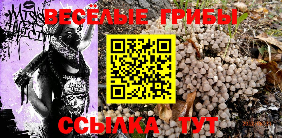 Дзержинский  Псилоцибиновые грибы Cubensis  Вход с VPN 